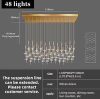 St. Reitz Crystal Chandelier