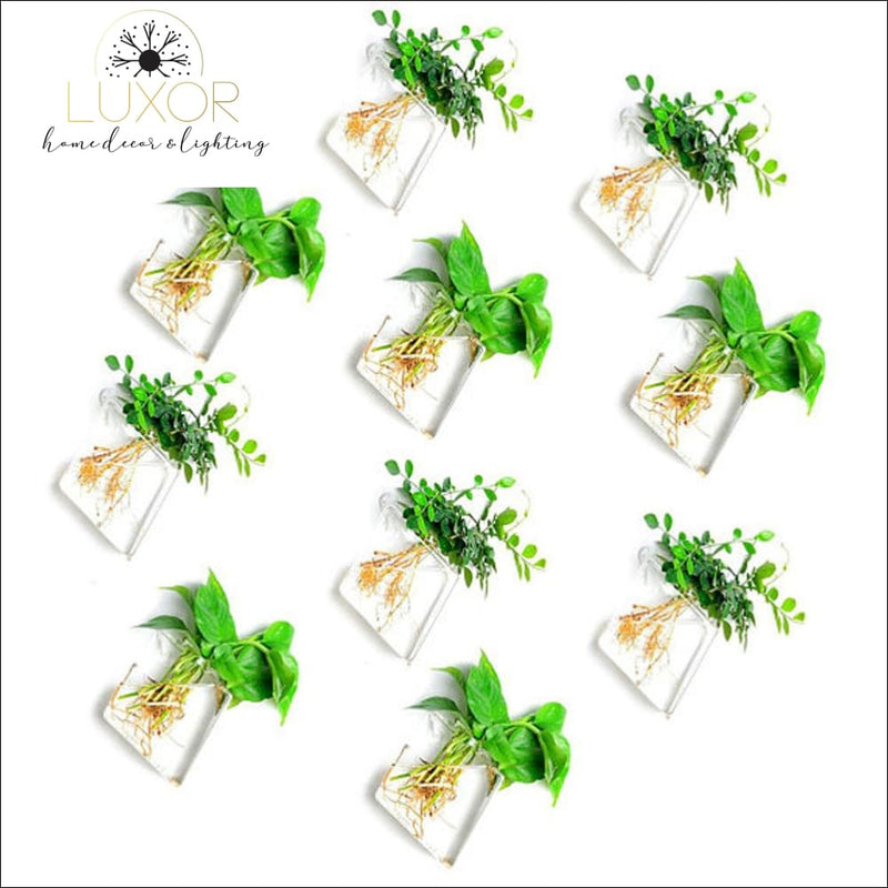 wall decor Ashanti Transparent Glass Wall Mounted Hanging Hydroponics Vase - Luxor Home Decor & Lighting