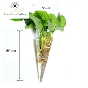 wall decor Ashanti Transparent Glass Wall Mounted Hanging Hydroponics Vase - Luxor Home Decor & Lighting