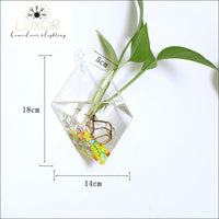 wall decor Ashanti Transparent Glass Wall Mounted Hanging Hydroponics Vase - Luxor Home Decor & Lighting