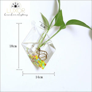 wall decor Ashanti Transparent Glass Wall Mounted Hanging Hydroponics Vase - Luxor Home Decor & Lighting