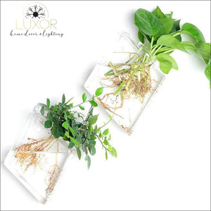 wall decor Ashanti Transparent Glass Wall Mounted Hanging Hydroponics Vase - Luxor Home Decor & Lighting