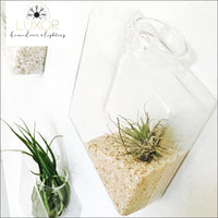 wall decor Ashanti Transparent Glass Wall Mounted Hanging Hydroponics Vase - Luxor Home Decor & Lighting