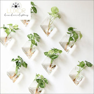 wall decor Ashanti Transparent Glass Wall Mounted Hanging Hydroponics Vase - Luxor Home Decor & Lighting
