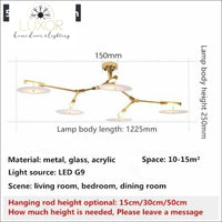 Carini Ceiling Light - ceiling light