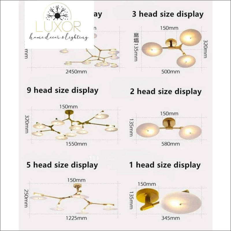 Carini Ceiling Light - ceiling light