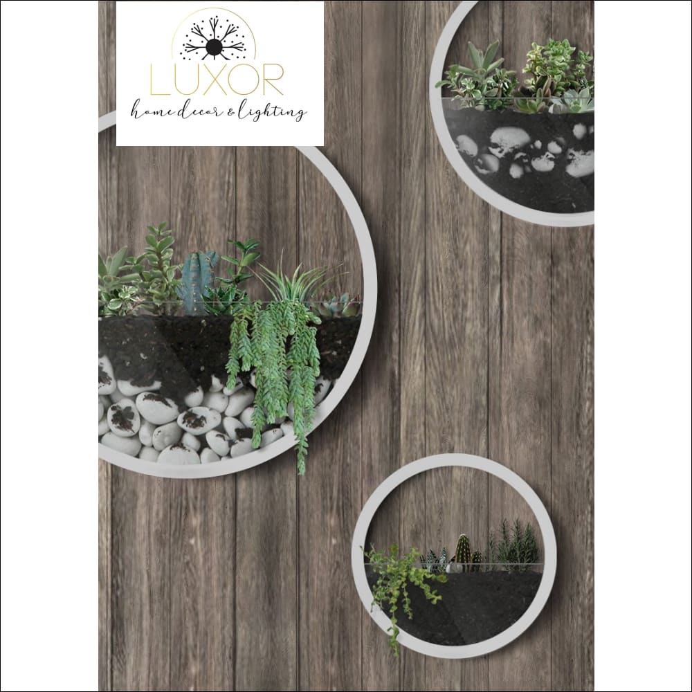 wall decor Nordic Round Plant Glass Wall Vase - Luxor Home Decor & Lighting